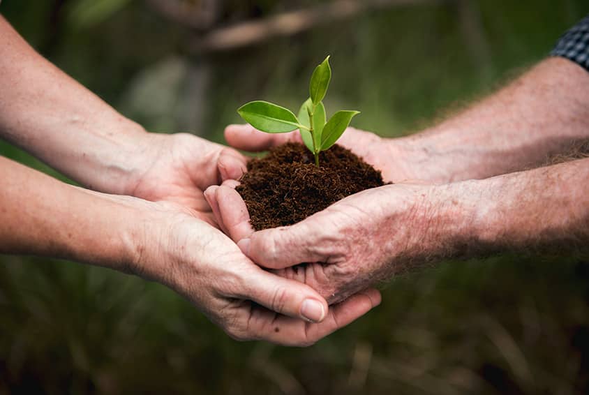 An image showing two hands holding up Sustainability An image of Sustainability