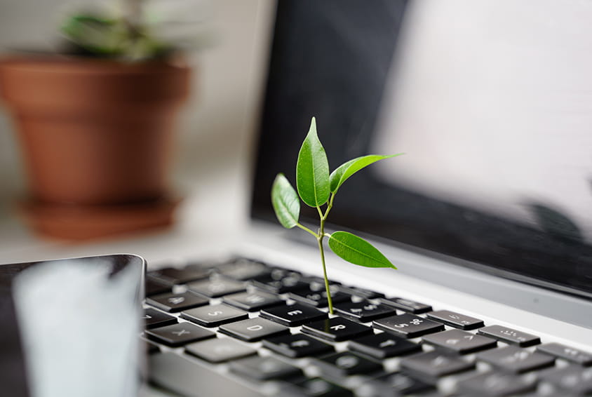 An image showing sustainability in the workplace Image of Sustainability